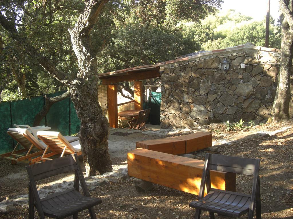 Maisonnette Du Berger De Croccano Sartène Екстериор снимка